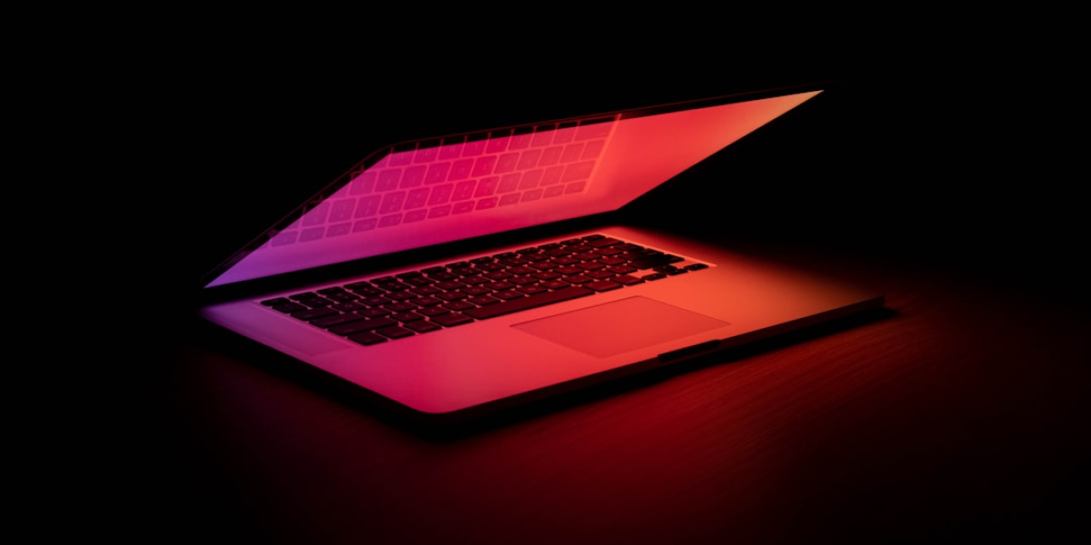 머스크, 한국…인구 절벽 심각성 강조