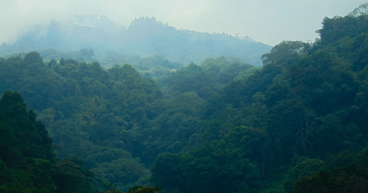 AI와 디지털 기술로 transforming 산림행정