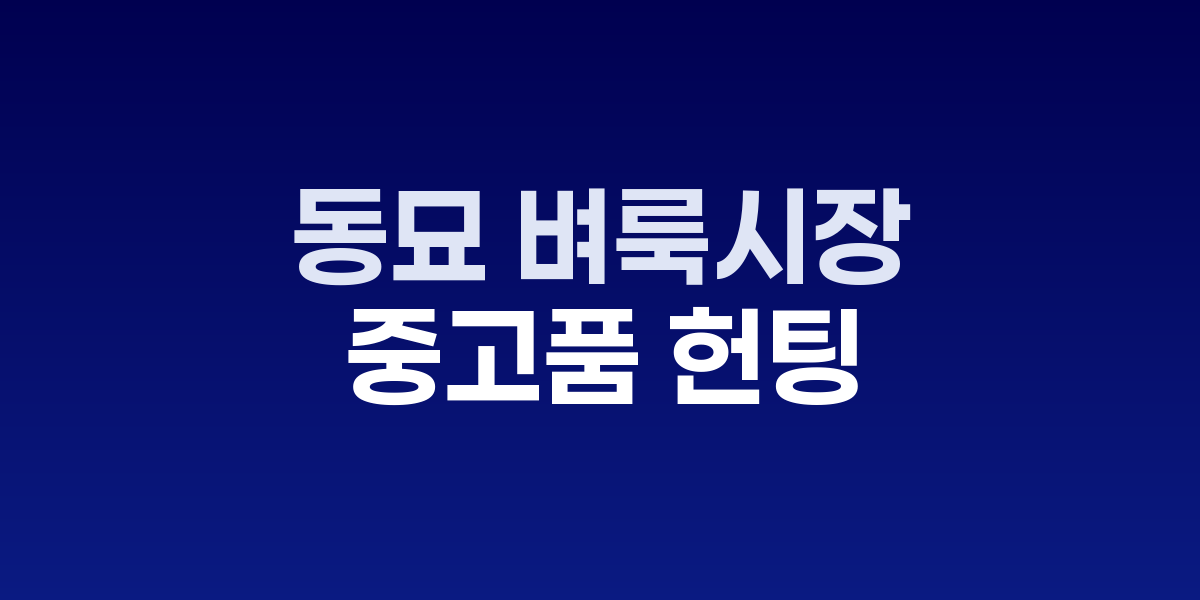 동묘 벼룩시장, 수많은 블록에 펼쳐진 거대한 중고품 헌팅과 현금 흥정의 세계