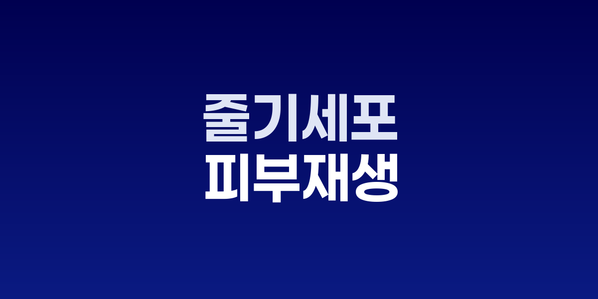 줄기세포 기술의 혁신, 피부 재생 새 지평 열다