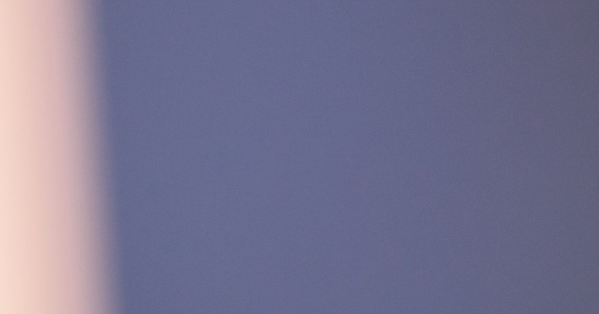 K뷰티 아마존 100위권 장악, 품목·제조사 다변화 현황