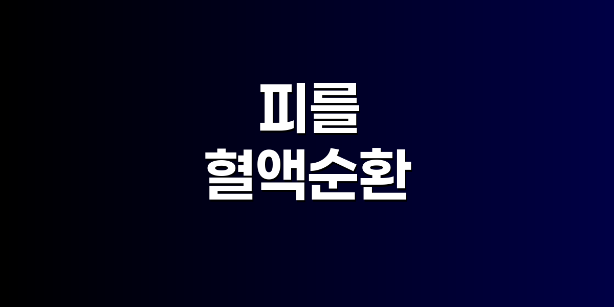 피를 맑게 하는 음식 5가지, 혈관 건강 지키는 자연의 해법