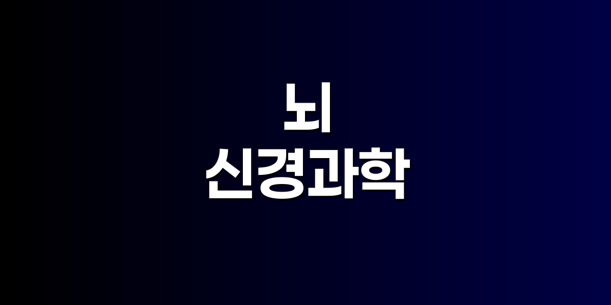 뇌 가소성을 높이는 3가지 방법, 과학이 증명한 뇌 건강 전략