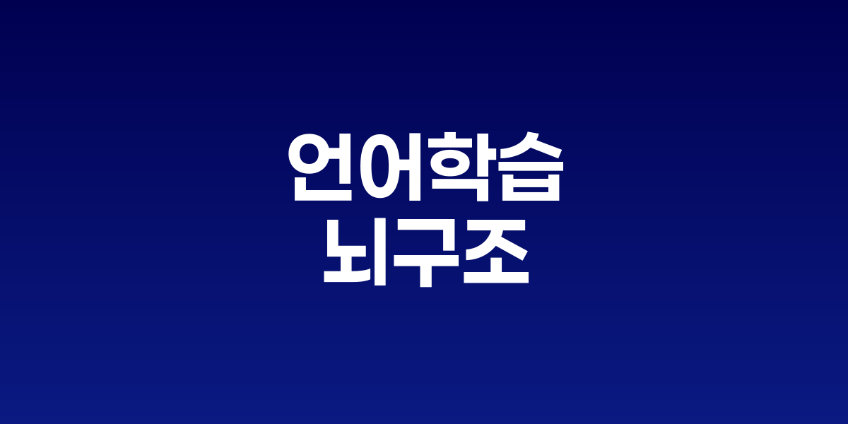 언어 학습이 뇌 구조를 바꾸는 이유: 회백질 밀도 증가의 비밀