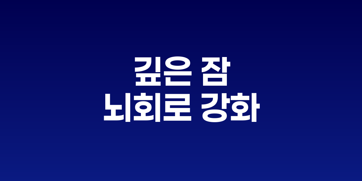 수면이 뇌 회로를 강화하는 방식: 깊은 잠이 학습 내용을 고정시키는 원리