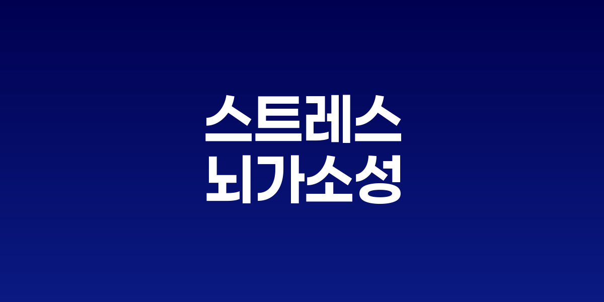 스트레스와 뇌가소성: 이중의 칼날, 관리 방식이 뇌 건강을 좌우한다