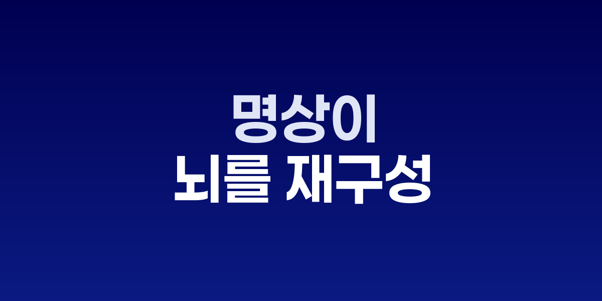 명상이 뇌를 재구성한다: 신경과학이 밝힌 증거