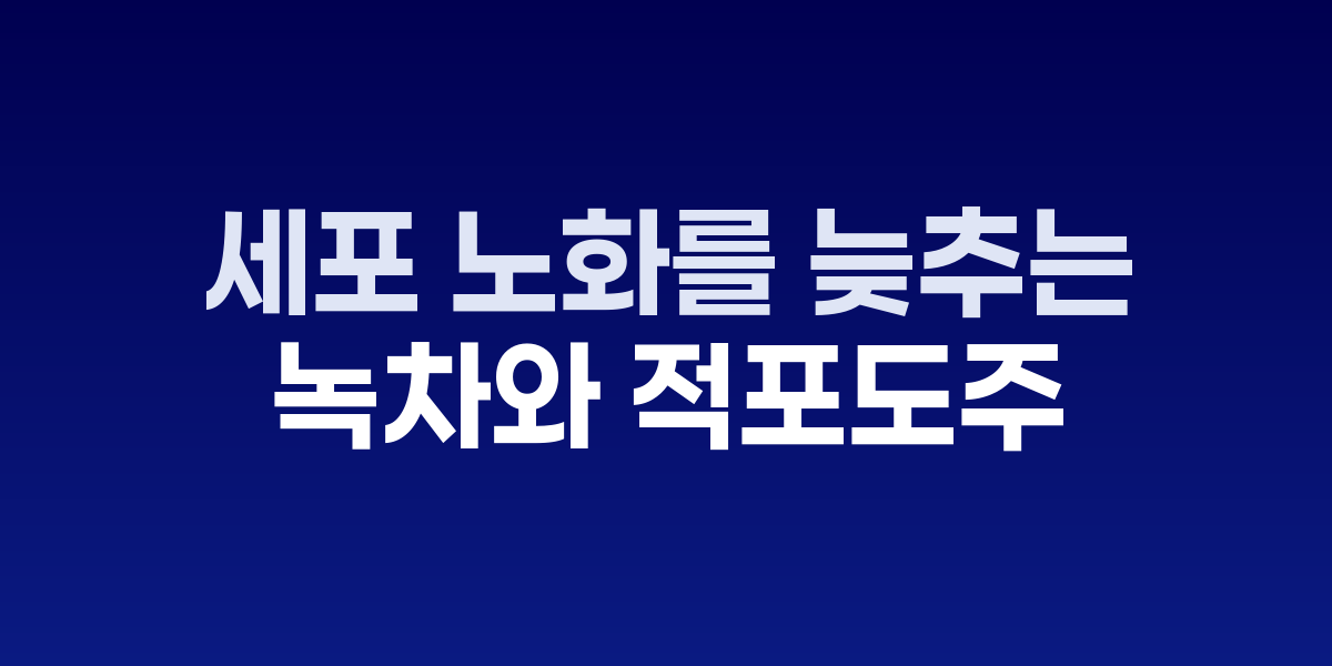 하루 1잔으로 세포 노화를 늦추는 기적의 음료
