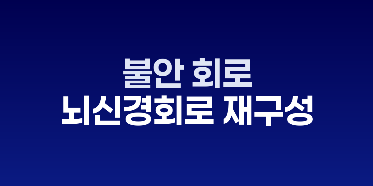 불안 회로를 리셋하라: 편도체-전대상회 재가소성의 열쇠