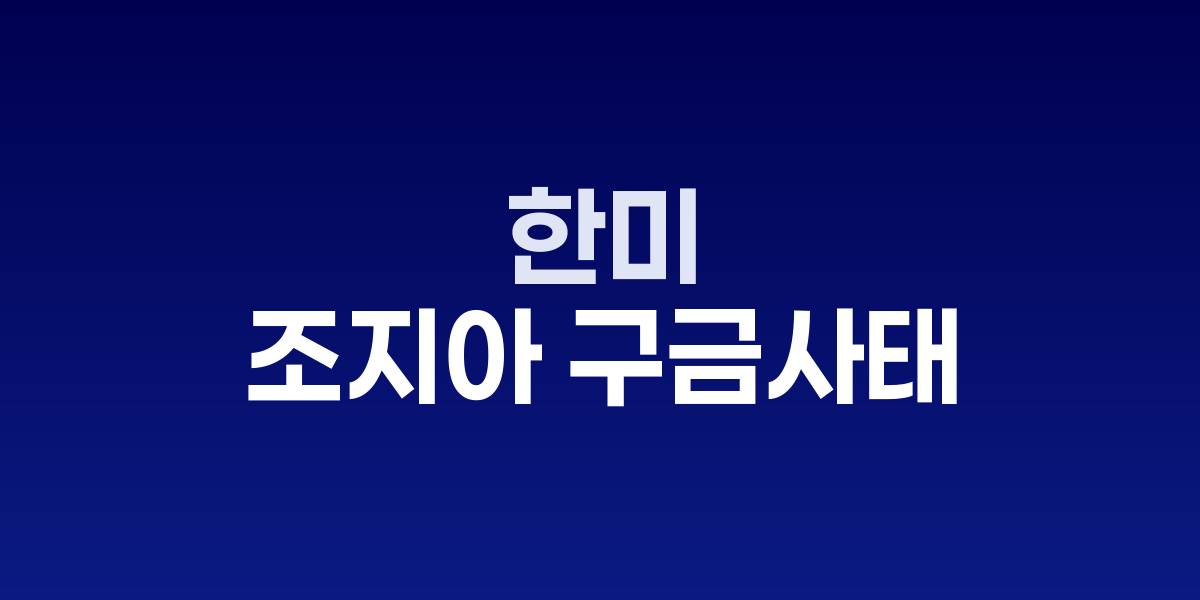 한미 '조지아 구금사태' 후 비자 워킹그룹 30일 긴급출범