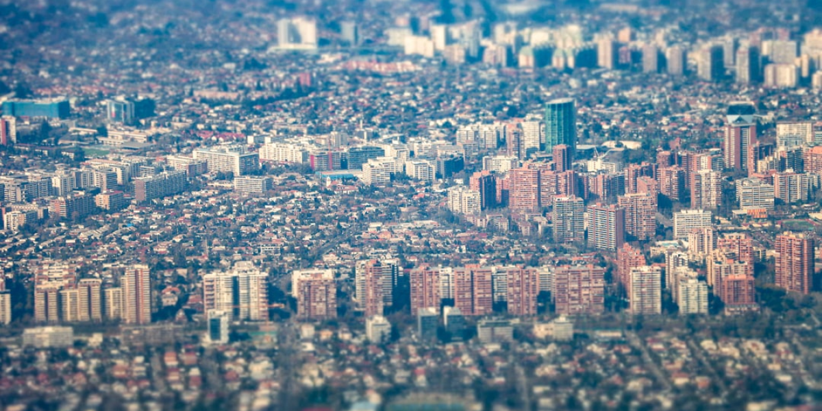 동자동에서 사라진 생명들 (The Disappearing Lives of Dongja-dong)