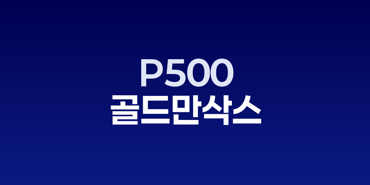 골드만 “AI 지출 둔화 시 S&amp;P500 최대 20% 하락”