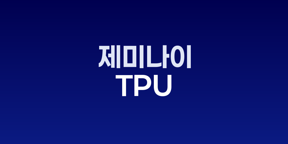 제미나이 3.0과 TPU: AI 기술주 상승의 핵심 동력